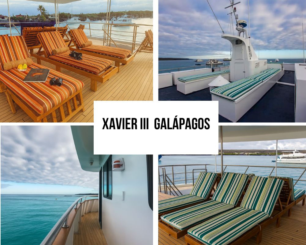the Xavier III Galapagos Cruise