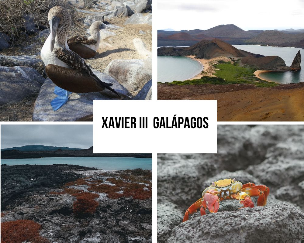 Comprehensive Itinerary Portfolio on the Xavier III Galapagos Cruise
