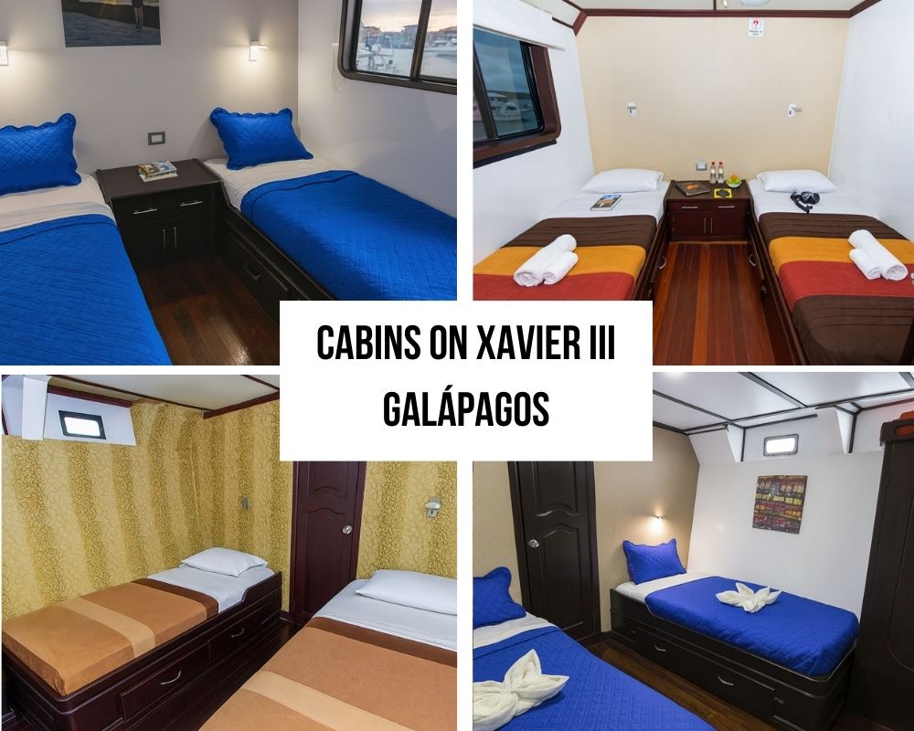Relaxed and Comfortable Social Spaces on the Xavier III Galapagos Cruise