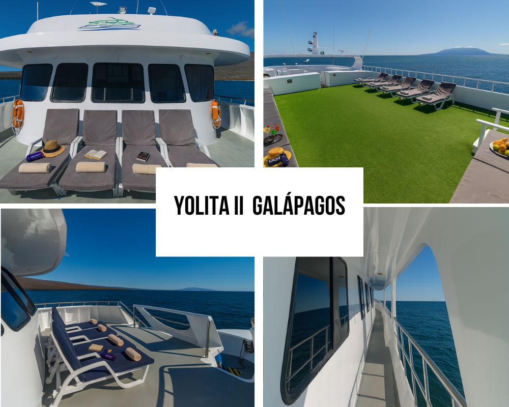 Outstanding Guest Reviews and Value Recognition on the Yolita II Galapagos Cruise