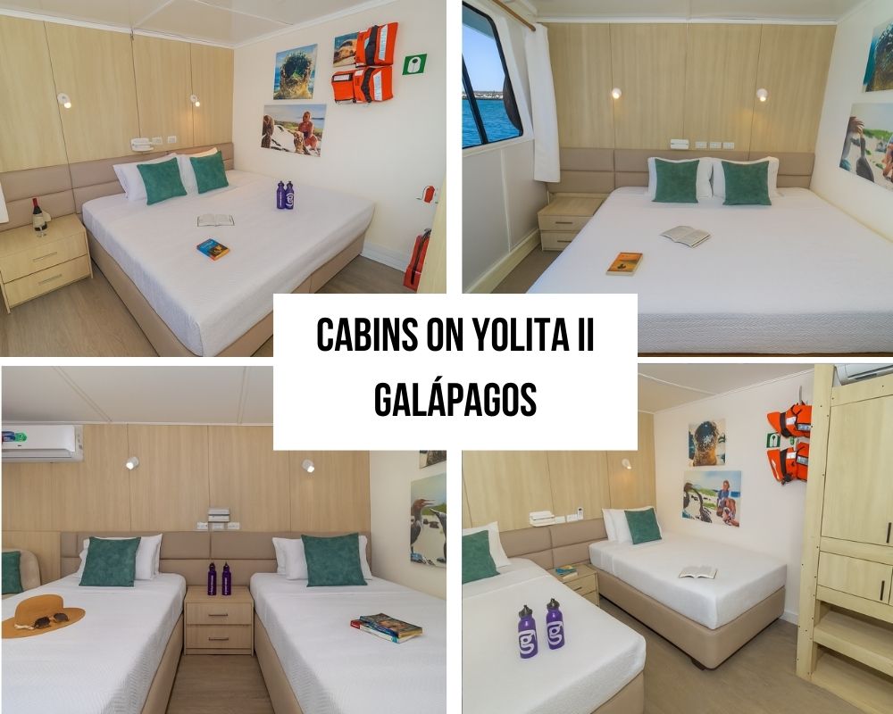 Hassle-Free Travel Excellence on the Yolita II Galapagos Cruise