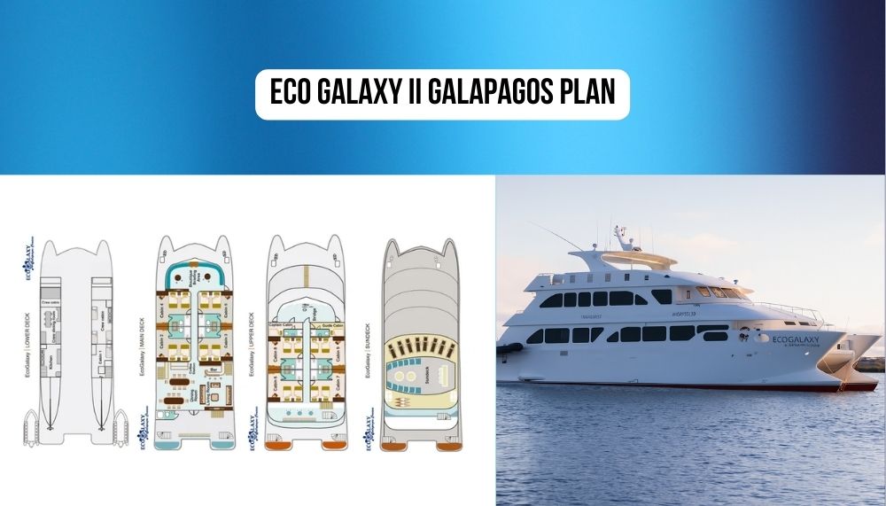 Magnificent Stateroom Design and Stunning Ambiance on the Eco Galaxy II Galapagos Cruise