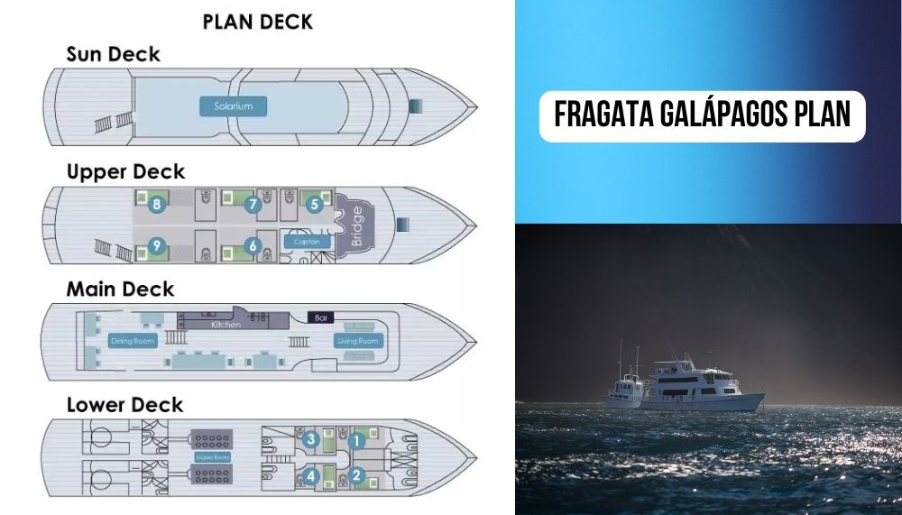 Beautiful Traditional Design and Warm Atmosphere on the Fragata Galapagos Cruise