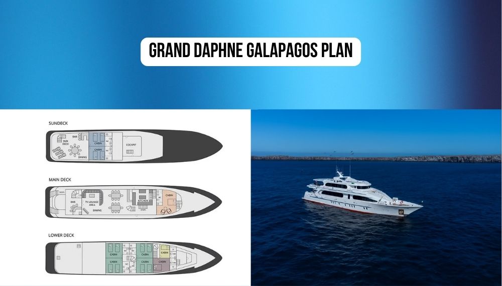 Brand New 2020 Construction and Modern Excellence on the Grand Daphne Galapagos Cruise