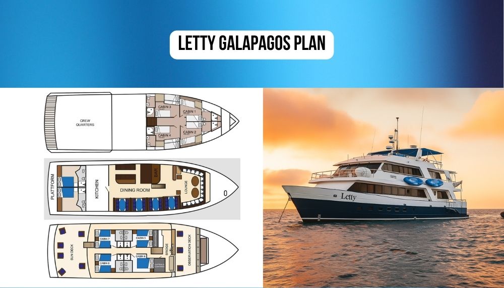 Recent 2024 Refurbishment and Enhanced Comfort on the Letty Galapagos Cruise