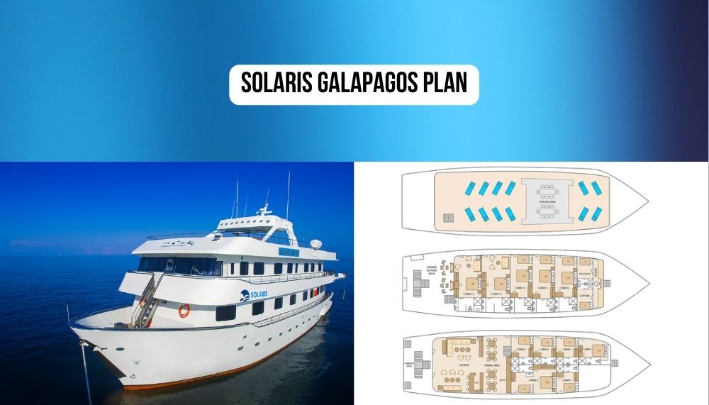 Revolutionary Solo Traveler Design and Five Single Cabins on the Solaris Galapagos Cruise
