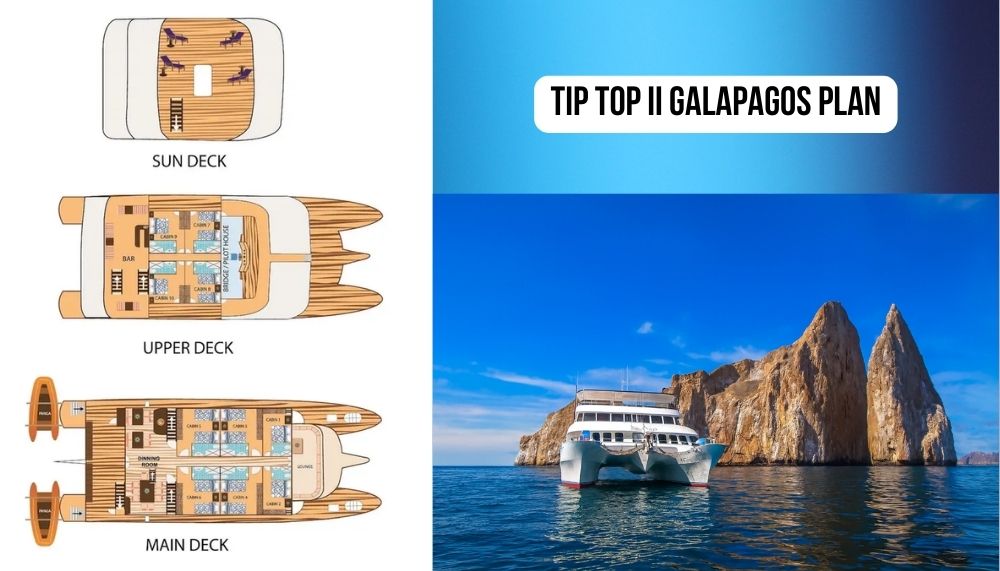 Superior Speed and Efficiency Excellence on the Tip Top II Galapagos Cruise