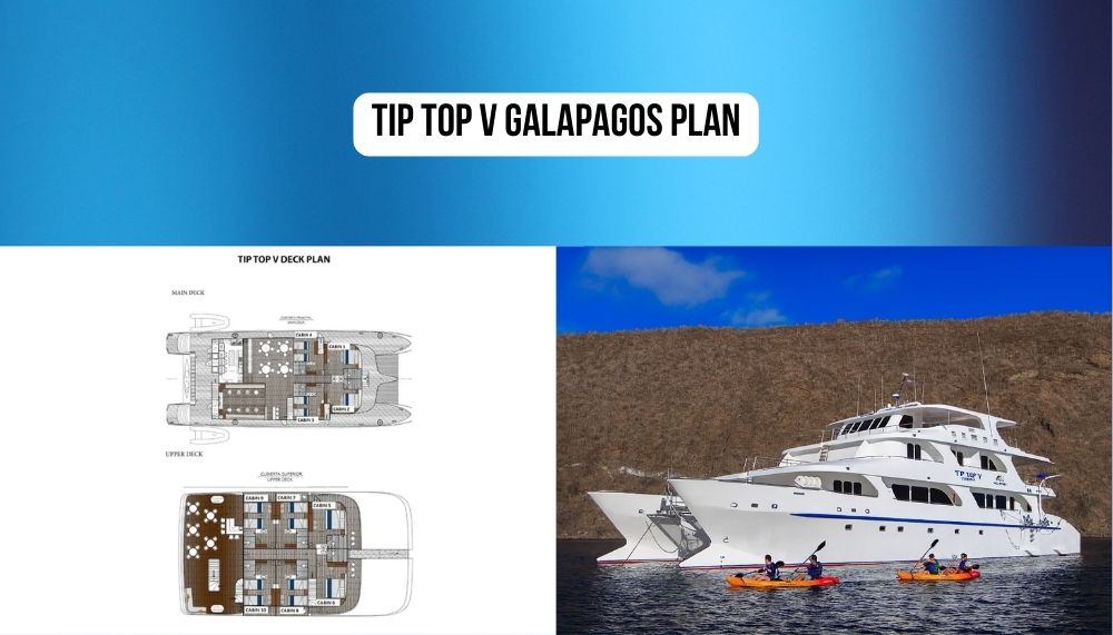 Brand New 2019 Flagship and Wittmer Family Excellence on the Tip Top V Galapagos Cruise
