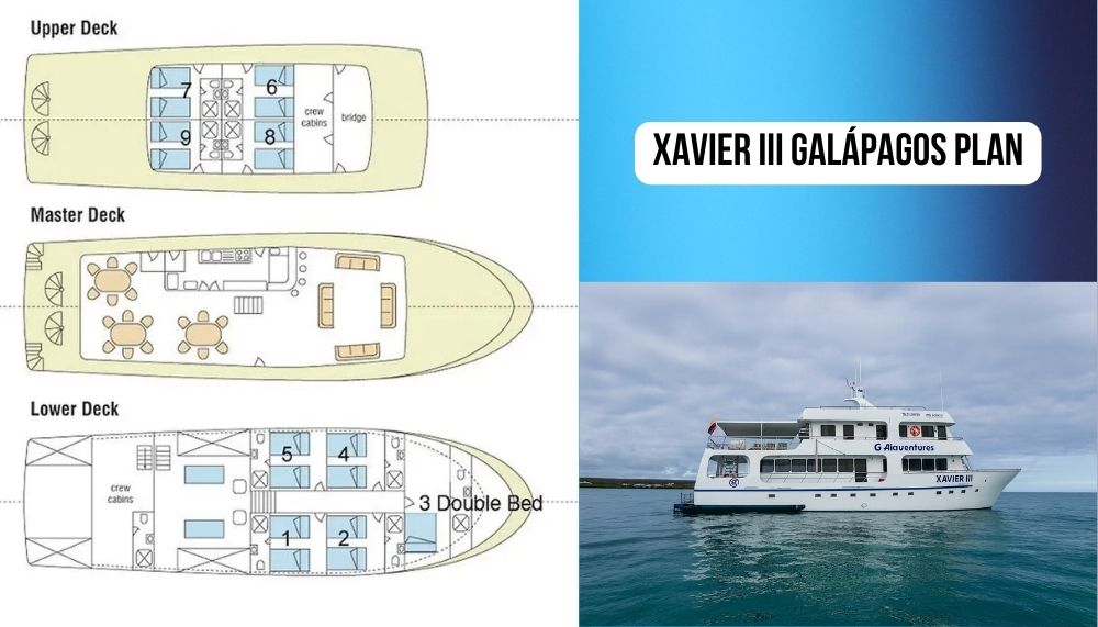 Proper Twin Beds and Spacious Cabin Design on the Xavier III Galapagos Cruise