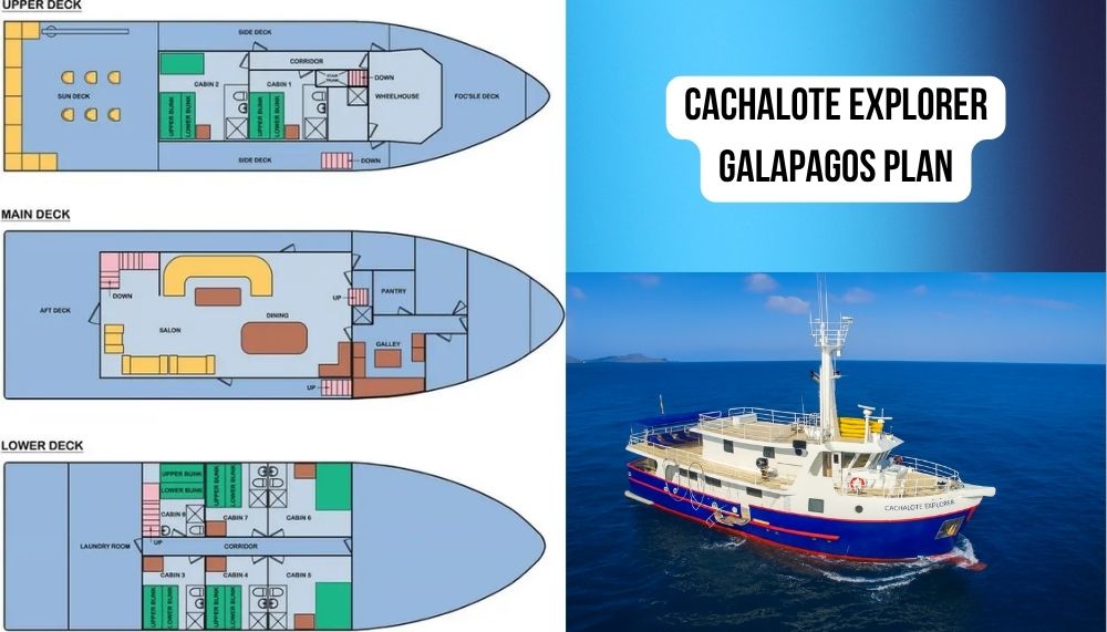 Best-in-Class Cabin Spaciousness on the Cachalote Explorer Galapagos Cruise