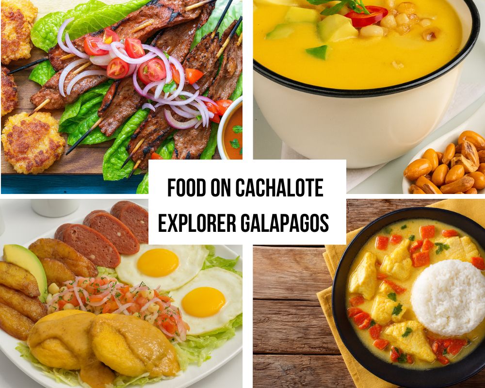 Exceptional Dining Experience on the Cachalote Explorer Galapagos Cruise