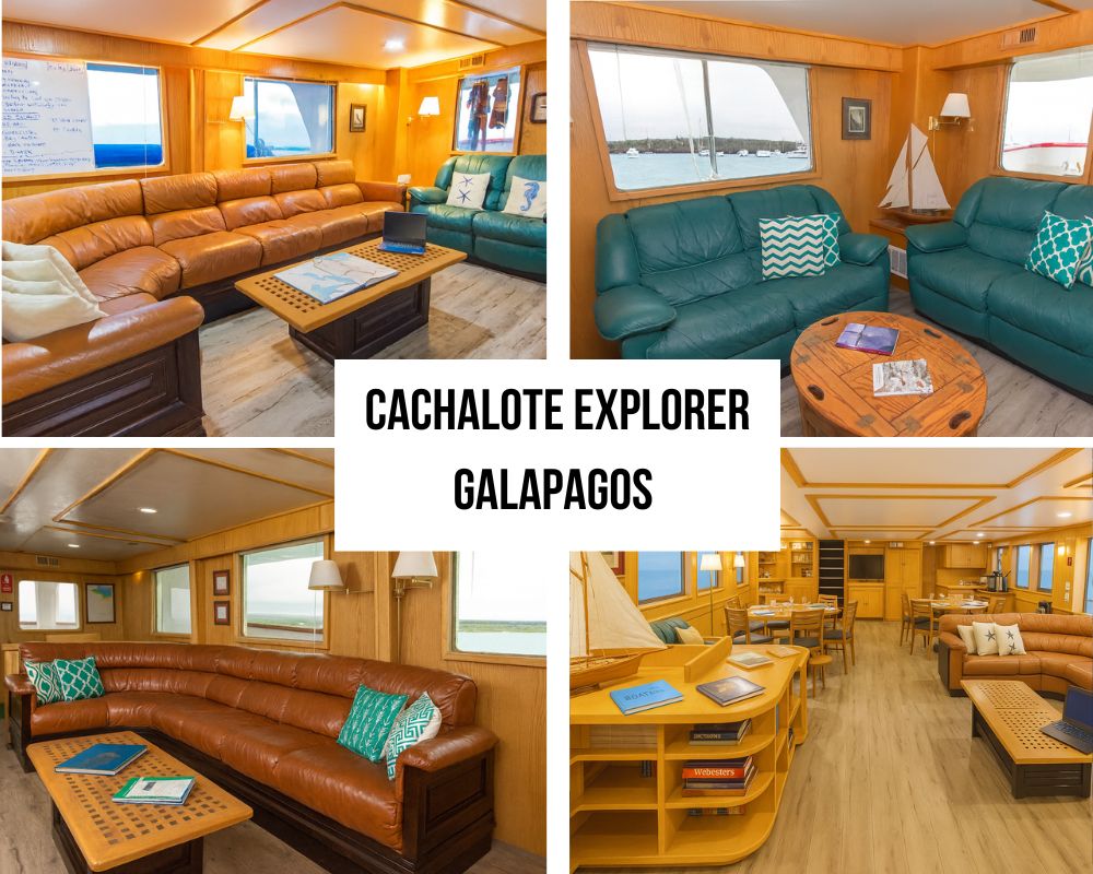 Superior Stability Heritage on the Cachalote Explorer Galapagos Cruise