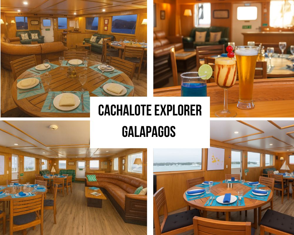 Generous Outdoor Living Spaces on the Cachalote Explorer Galapagos Cruise