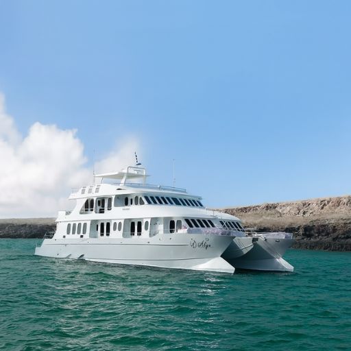 The beautiful Alya luxury catamaran built in 2017 and renovated in 2019