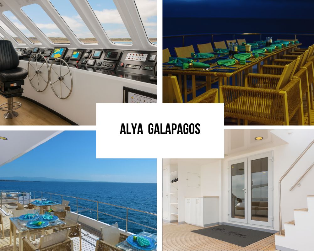 Exceptional Catamaran Stability and Space Excellence on Alya