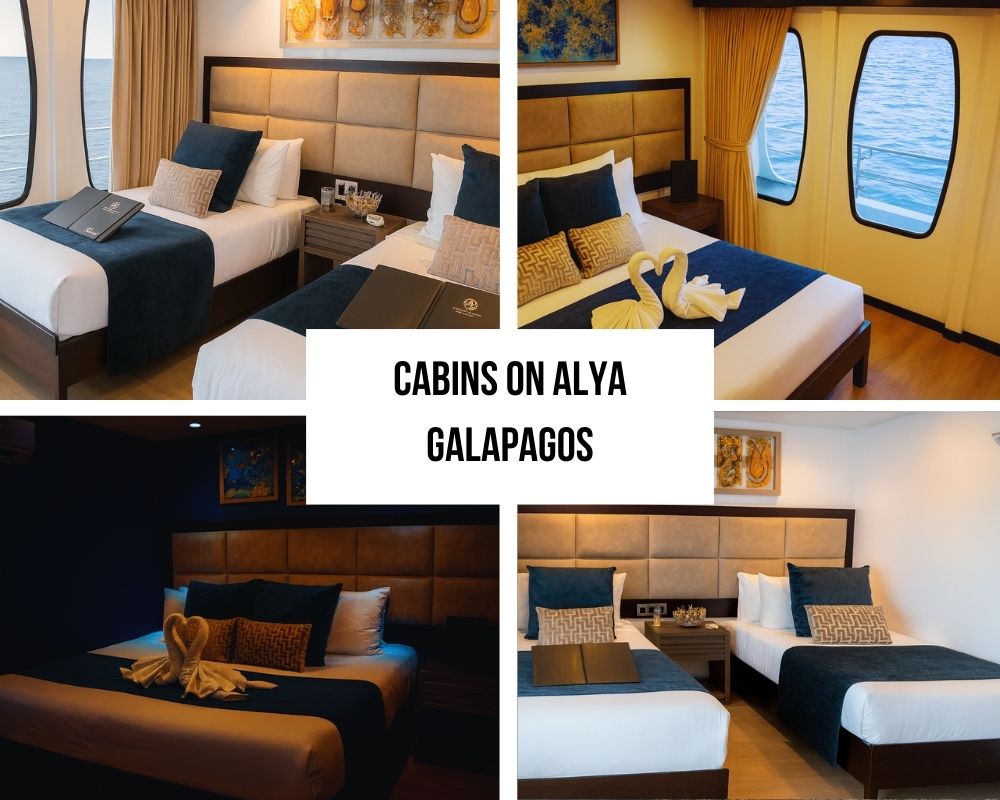 Comprehensive Modern Amenities and Service Excellence on Alya