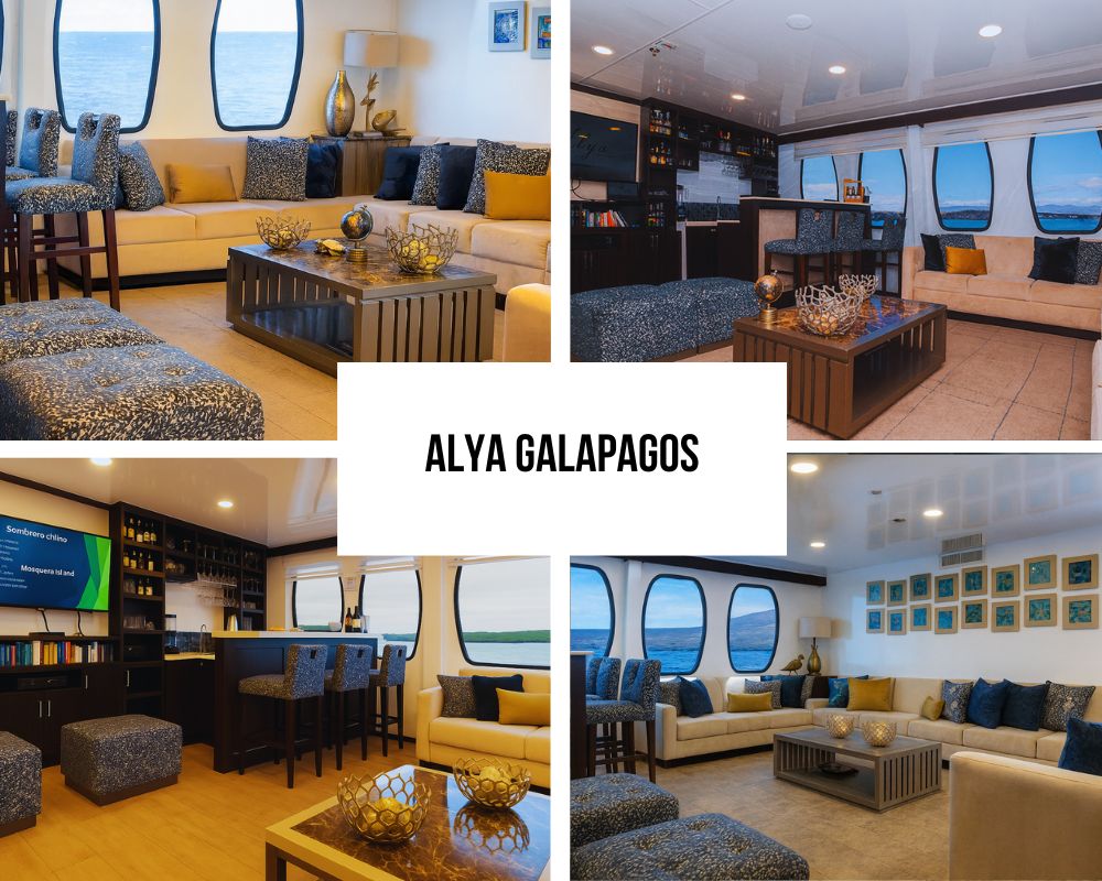 Outstanding Guest Experience and Modern Recognition on Alya