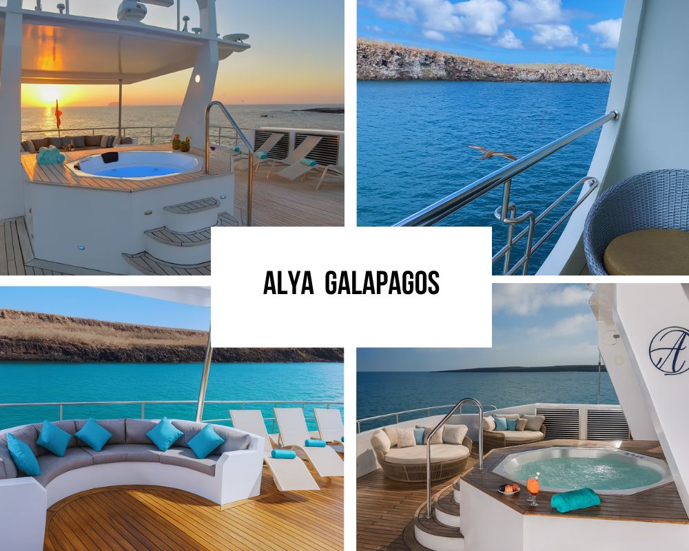 Outstanding Guest Experience and Modern Recognition on Alya