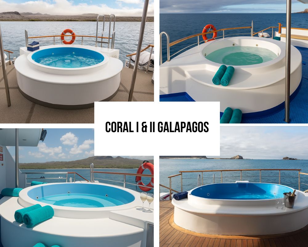 Outstanding Crew Stability and Sustainable Innovation Excellence on Coral I & II