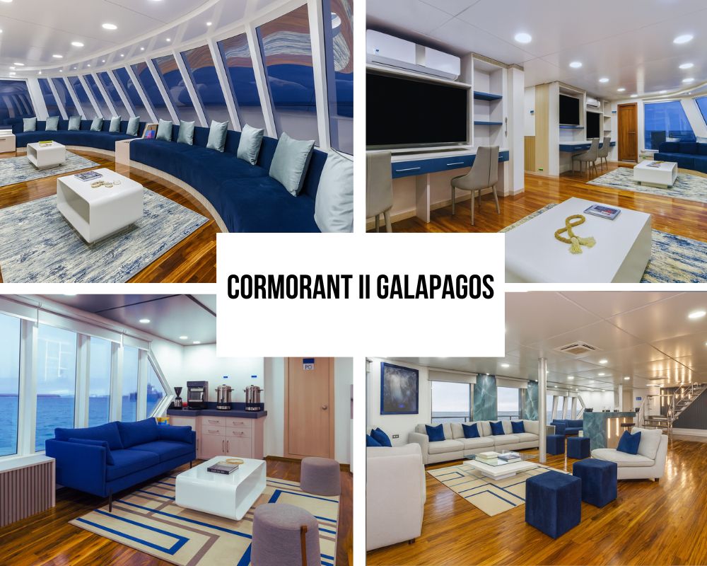 Comprehensive Luxury Amenities and Social Excellence on Cormorant II