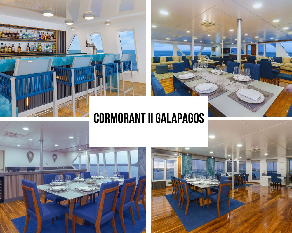 Outstanding Guest Experience and Newest Recognition on Cormorant II