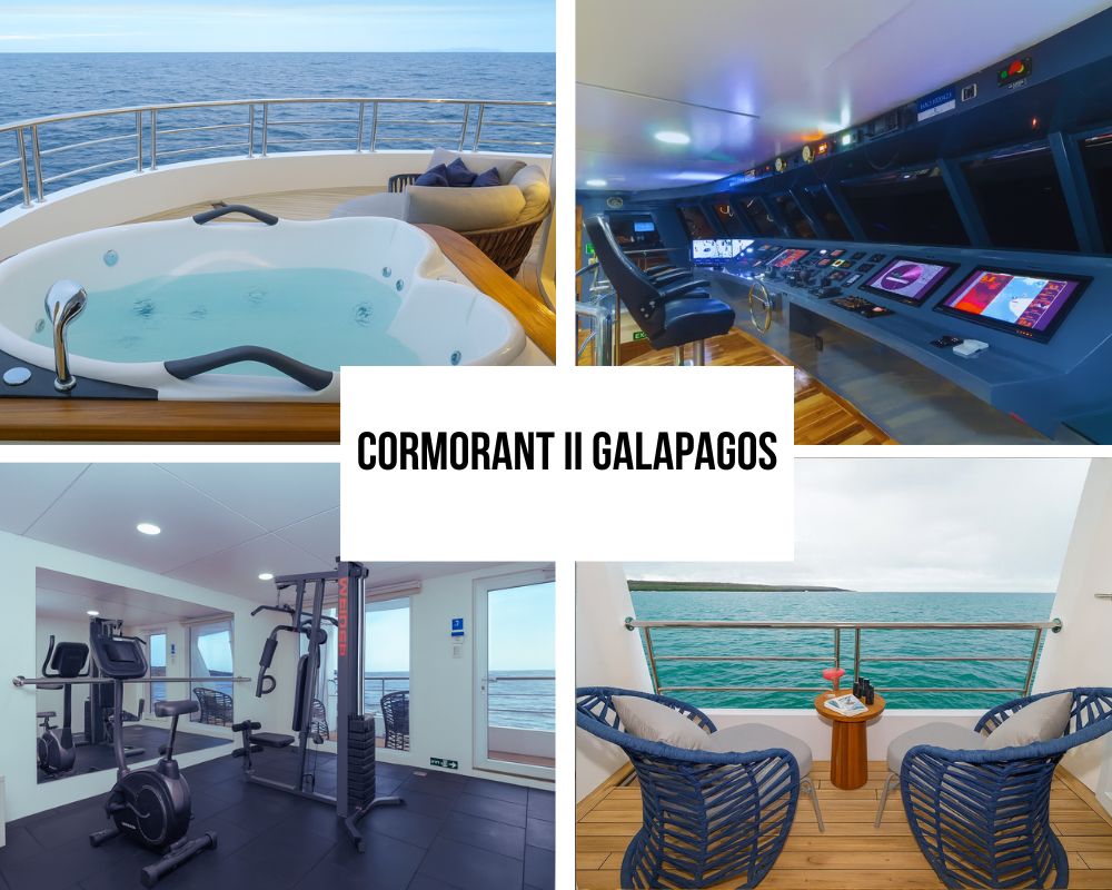 Outstanding Guest Experience and Newest Recognition on Cormorant II
