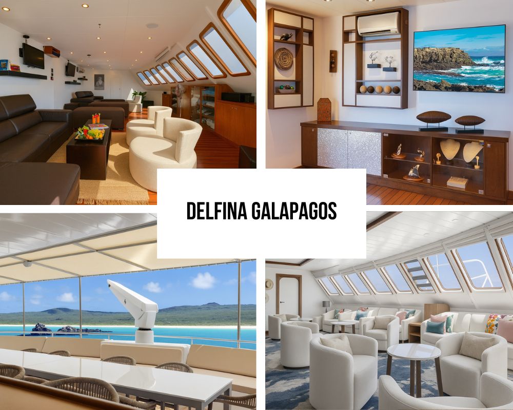 National Geographic Delfina