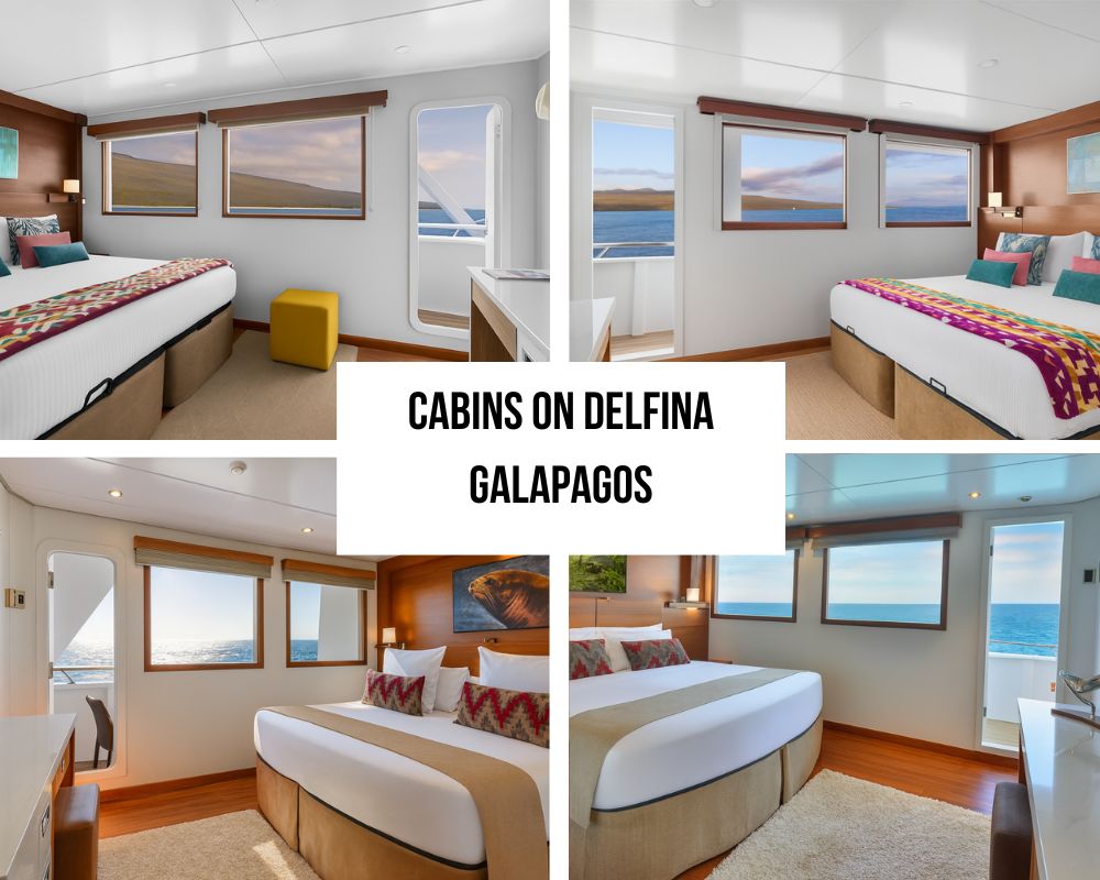 Spacious Accommodations and Private Deck Access on the National Geographic Delfina