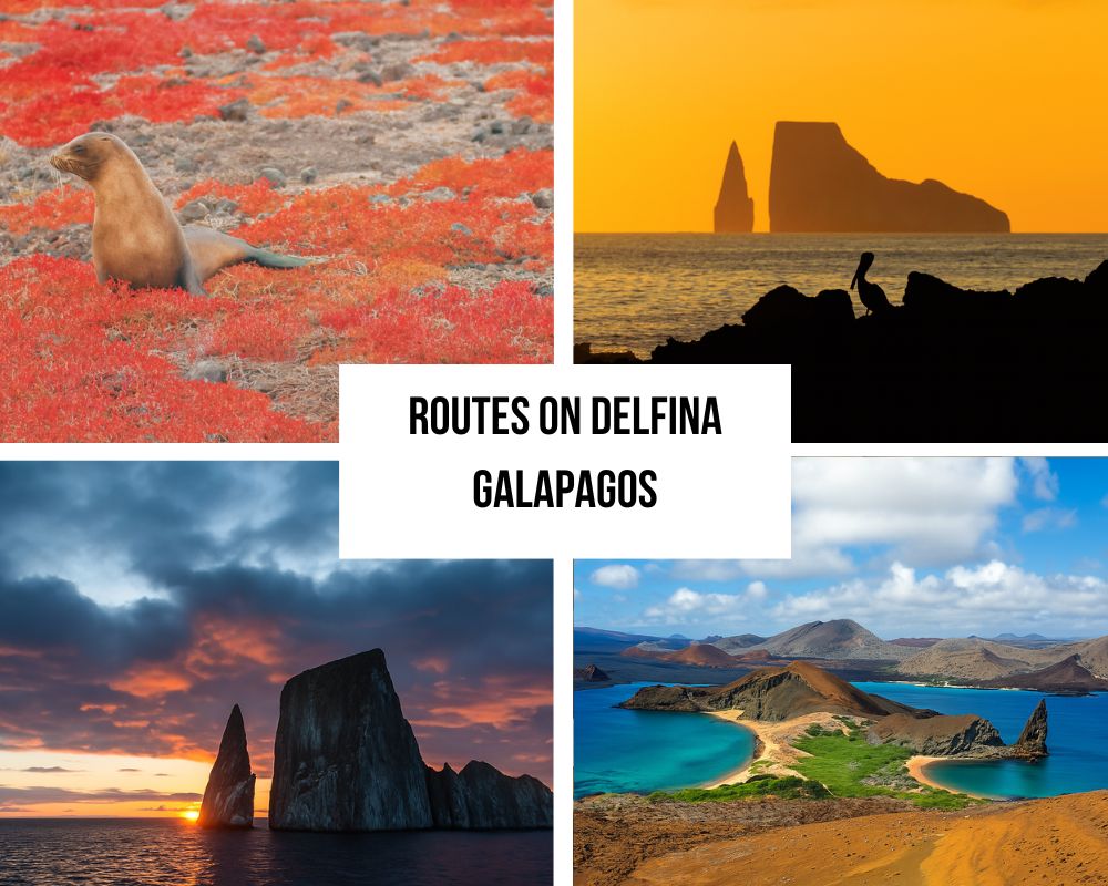 Comprehensive Itinerary Portfolio on the National Geographic Delfina