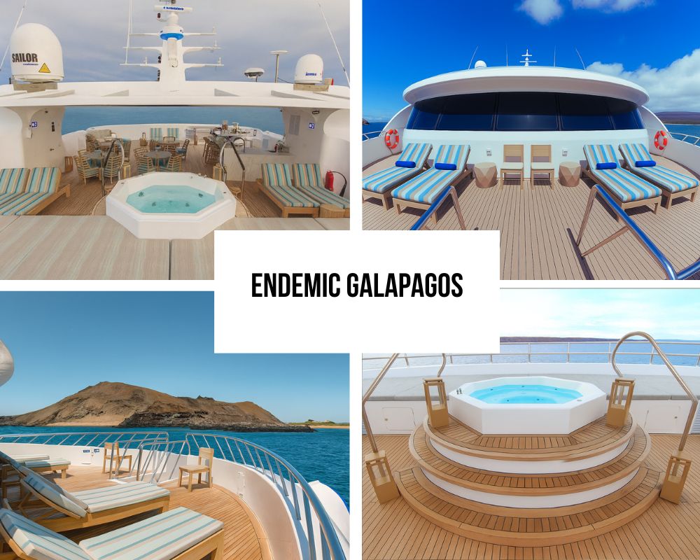 Comprehensive Luxury Amenities and Sky Deck Excellence on Endemic