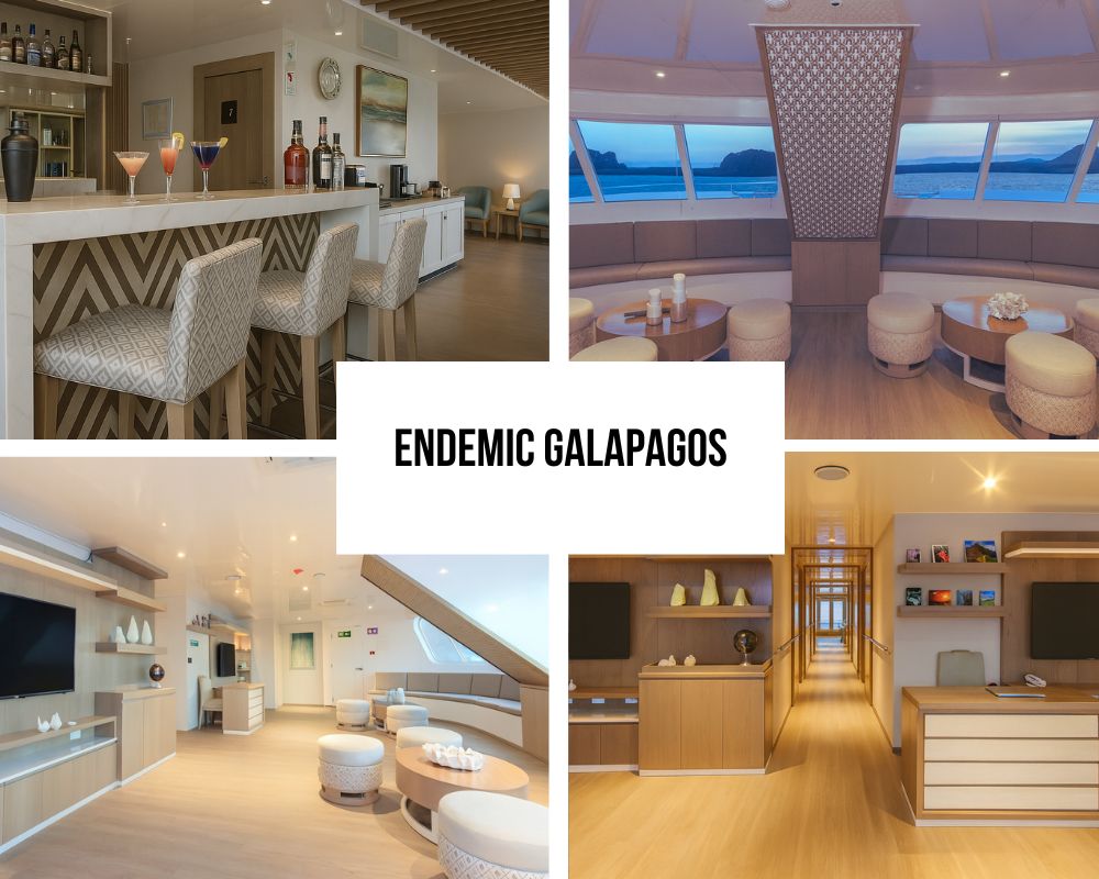 Outstanding Equipment Innovation and Technology Excellence on Endemic