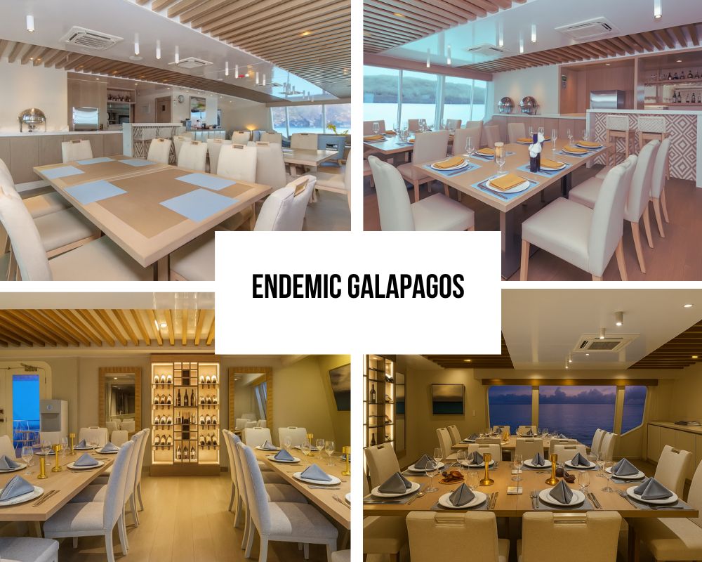 Outstanding Service Excellence and Crew Recognition on Endemic