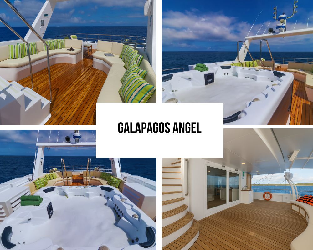 Outstanding Newest Technology and Safety Excellence on Galapagos Angel