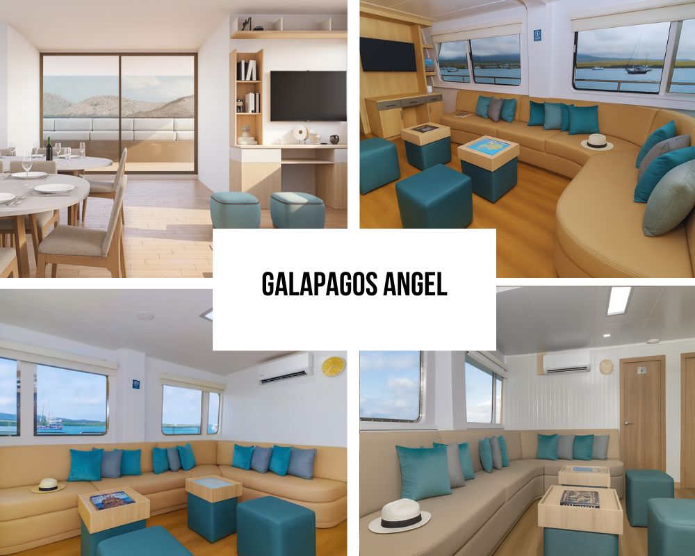 Exceptional European Design and Modern Amenities Excellence on Galapagos Angel