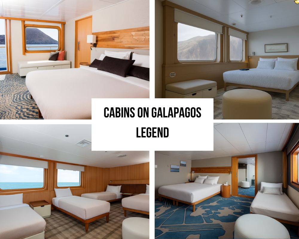 Outstanding Family Accommodation Flexibility on Galapagos Legend