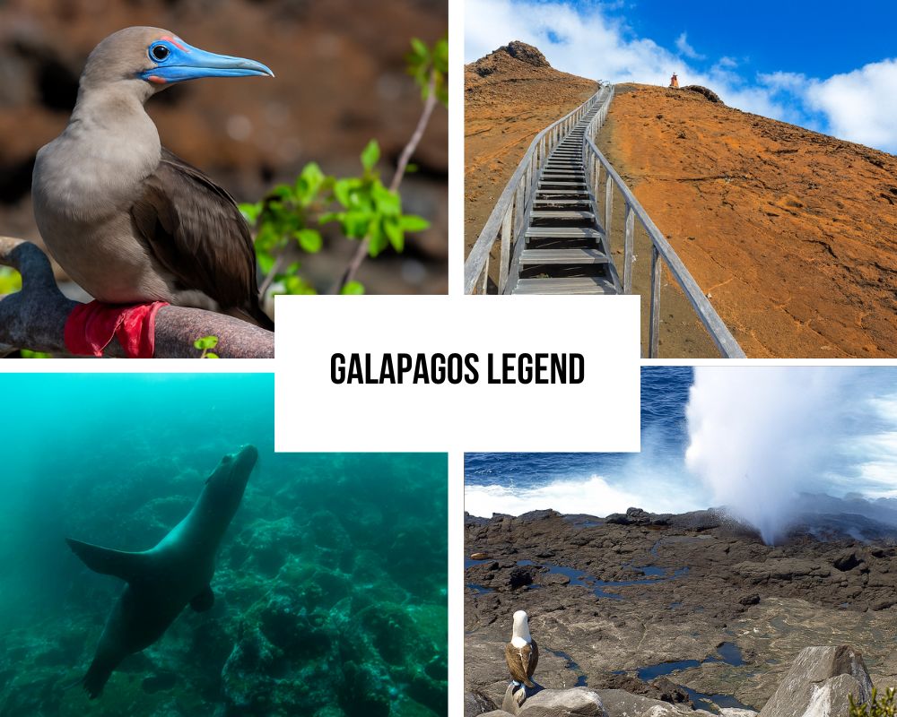Comprehensive Itinerary Portfolio on Galapagos Legend