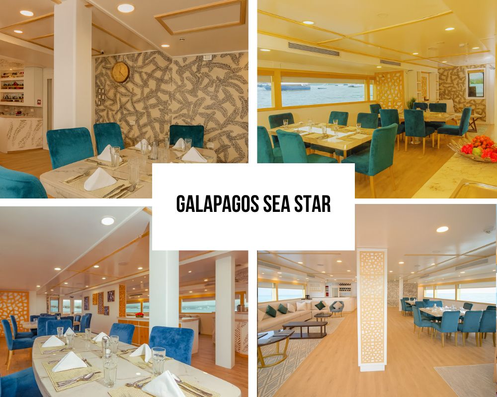 Outstanding Guest Experience and Family Heritage Recognition on Galapagos Sea Star