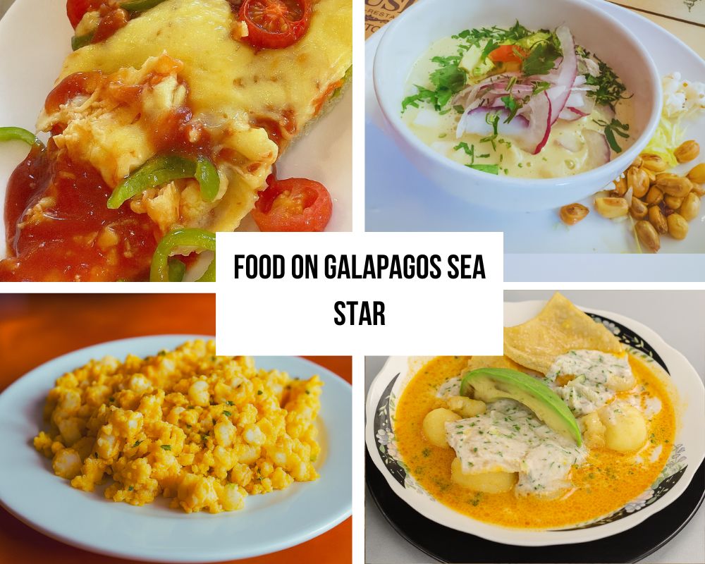 Comprehensive Award Recognition and Quality Excellence on Galapagos Sea Star