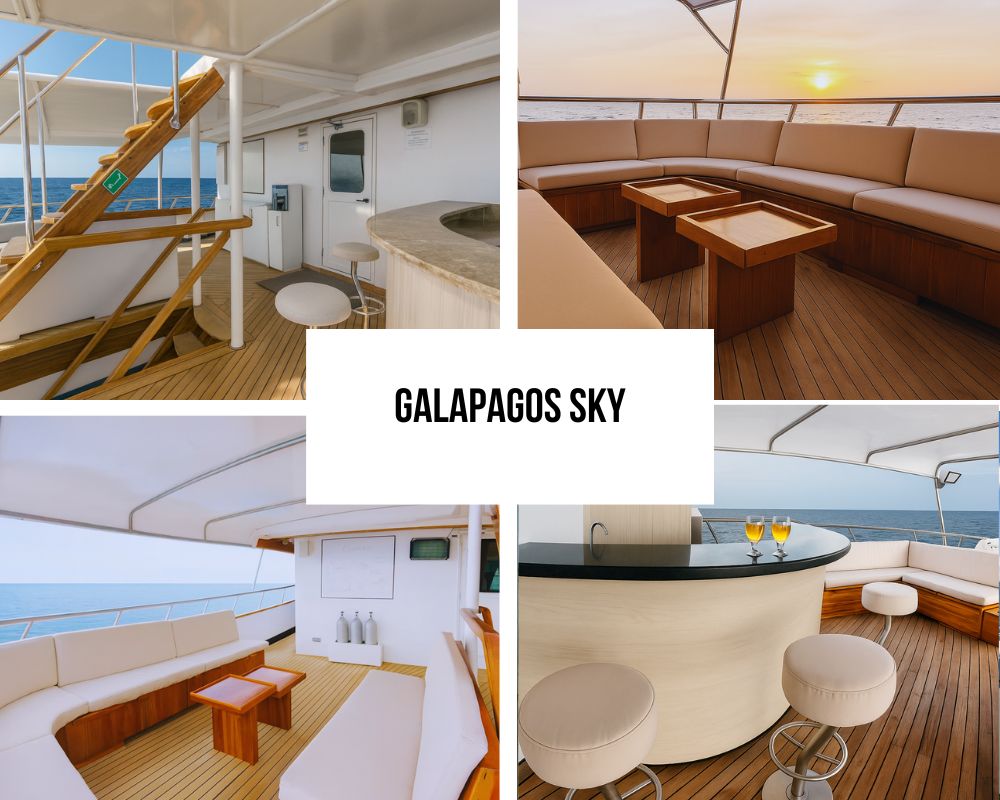 Revolutionary Purpose-Built Luxury and Diving Heritage Excellence on Galapagos Sky