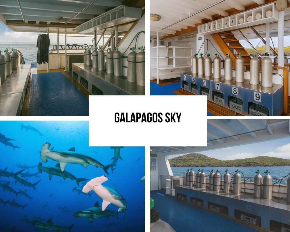 Comprehensive Diving Infrastructure and Equipment Excellence on Galapagos Sky