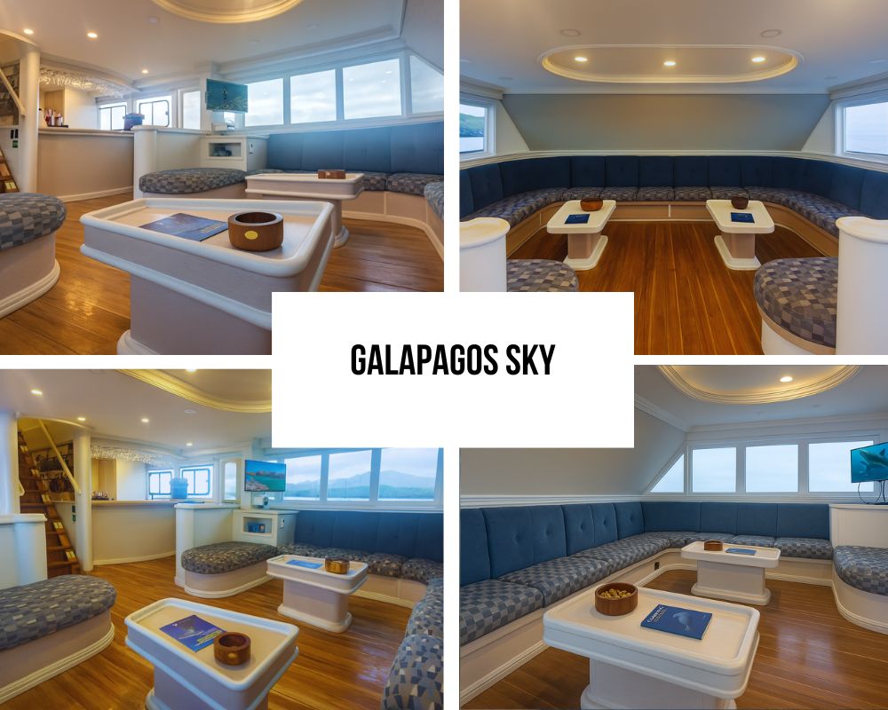 Revolutionary Purpose-Built Luxury and Diving Heritage Excellence on Galapagos Sky