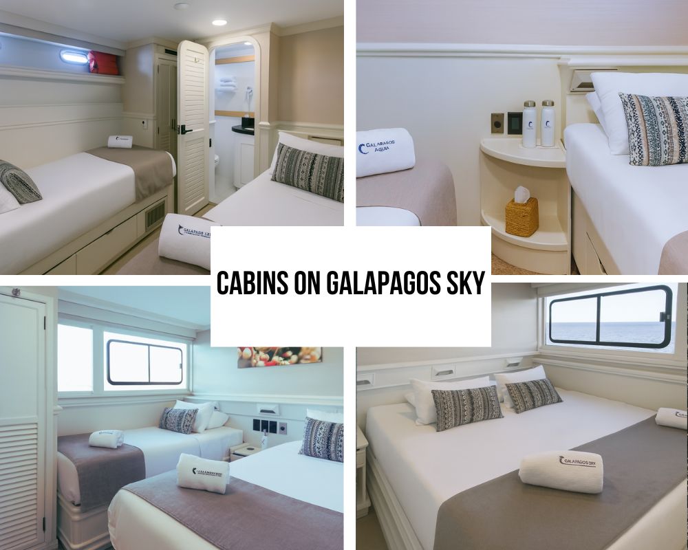 Outstanding Luxury Accommodation and Comfort Excellence on Galapagos Sky