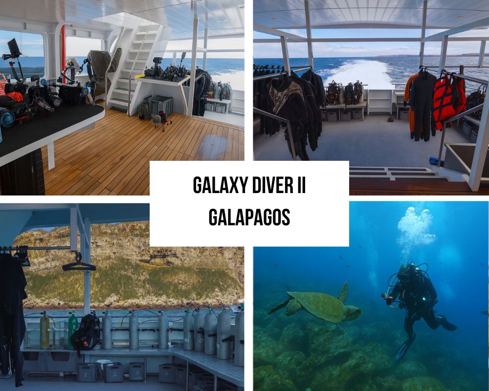 Exceptional Dual Adventure Options and Flexibility Excellence on Galaxy Diver II
