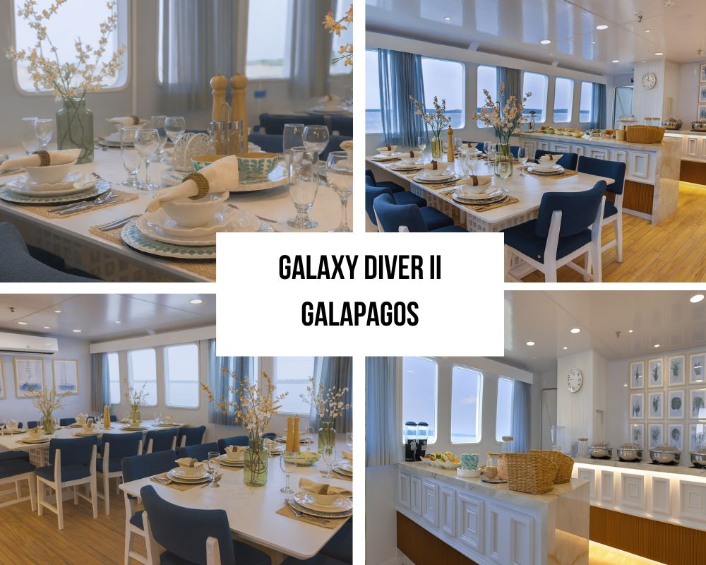 Galaxy Diver II