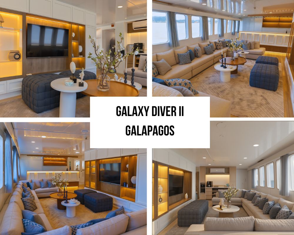 Outstanding Guest Experience and Diving Recognition on Galaxy Diver II