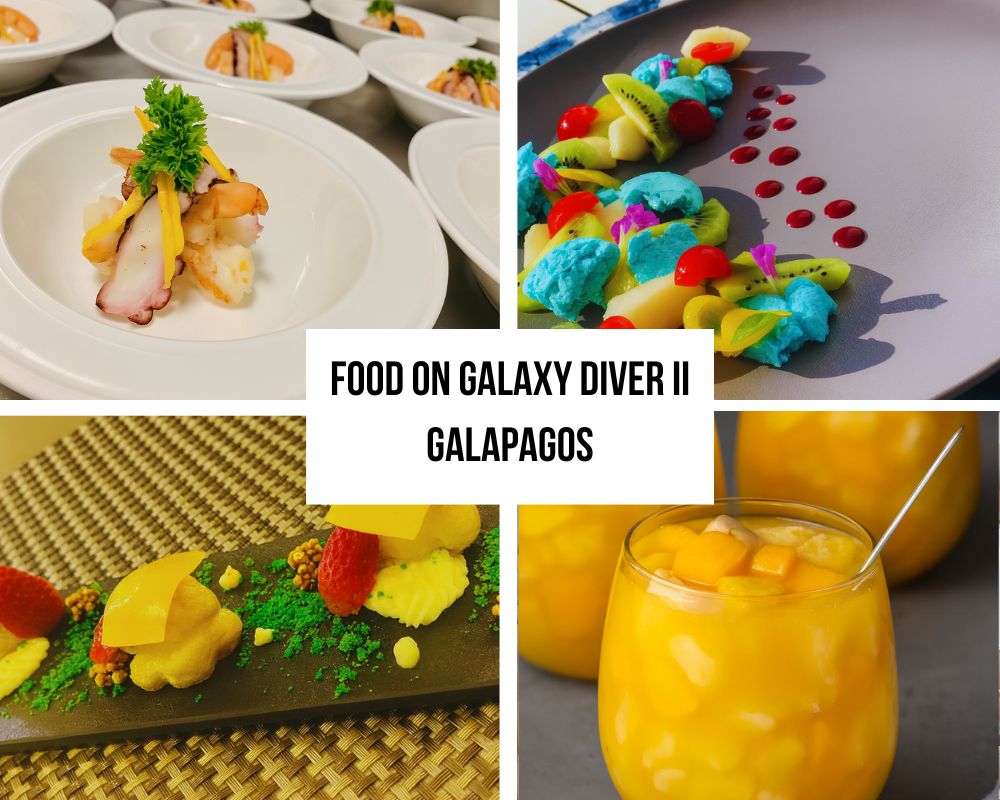 Flexibility Excellence on Galaxy Diver 