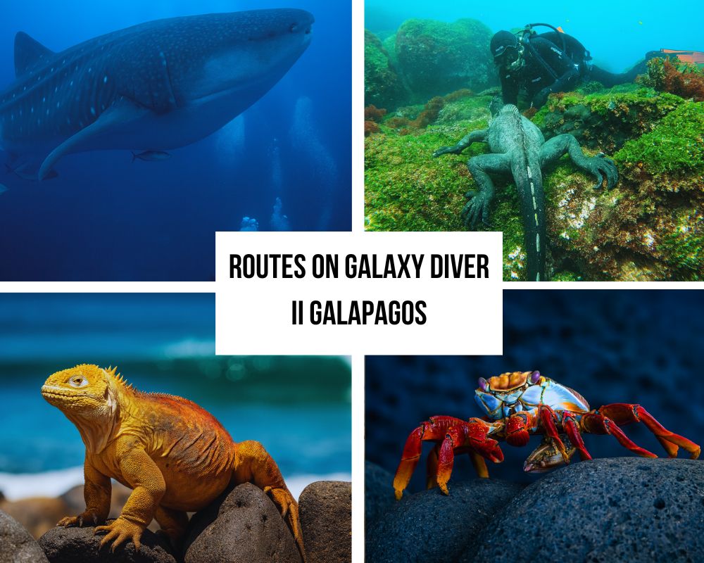 Comprehensive Itinerary Portfolio on Galaxy Diver II