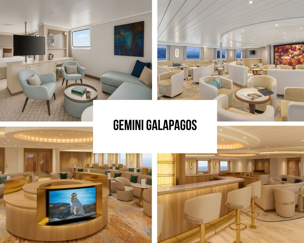 Outstanding Guest Experience and Modern Innovation Recognition on the National Geographic Gemini