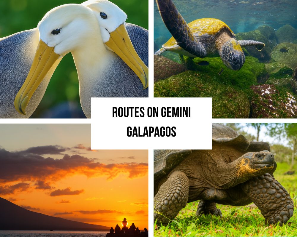 Comprehensive Itinerary Portfolio on the National Geographic Gemini