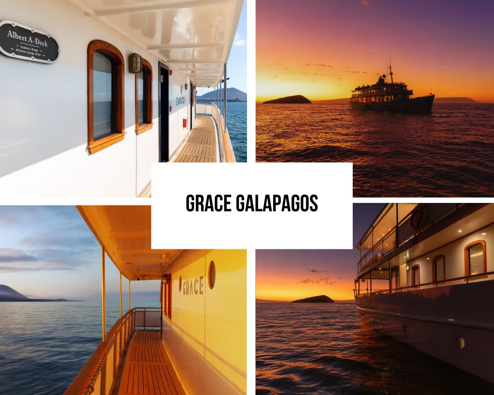 Outstanding Historic Preservation and Authentic Excellence on Grace